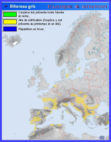 Cartes de migration (Bihoreau gris)