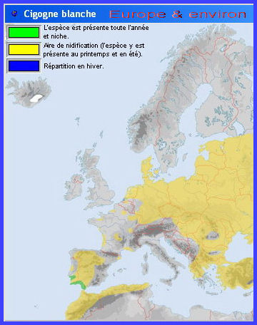 Cartes de migration (Cigogne blanche)