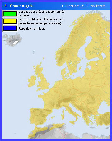 Migration (Coucou gris)
