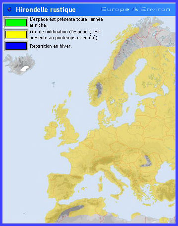 Migration (Hirondelle rustique)