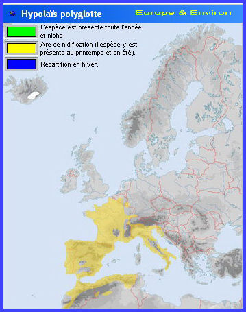 Migration (Hypolaïs polyglotte)