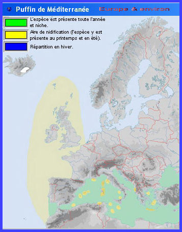 Migration(Puffin de Méditerranée)