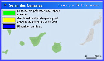 Migration (Serin des Canaries)