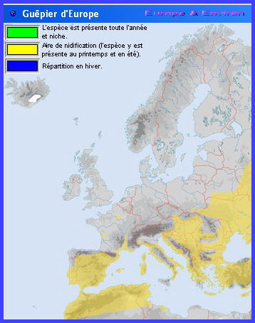 Migration (Guêpier d'Europe)